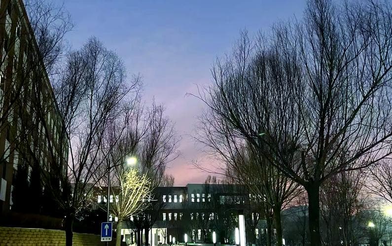 山东中医药大学